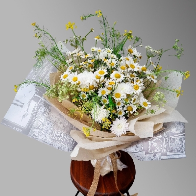 LAMINA IMPERMEABLE - BOTICA 